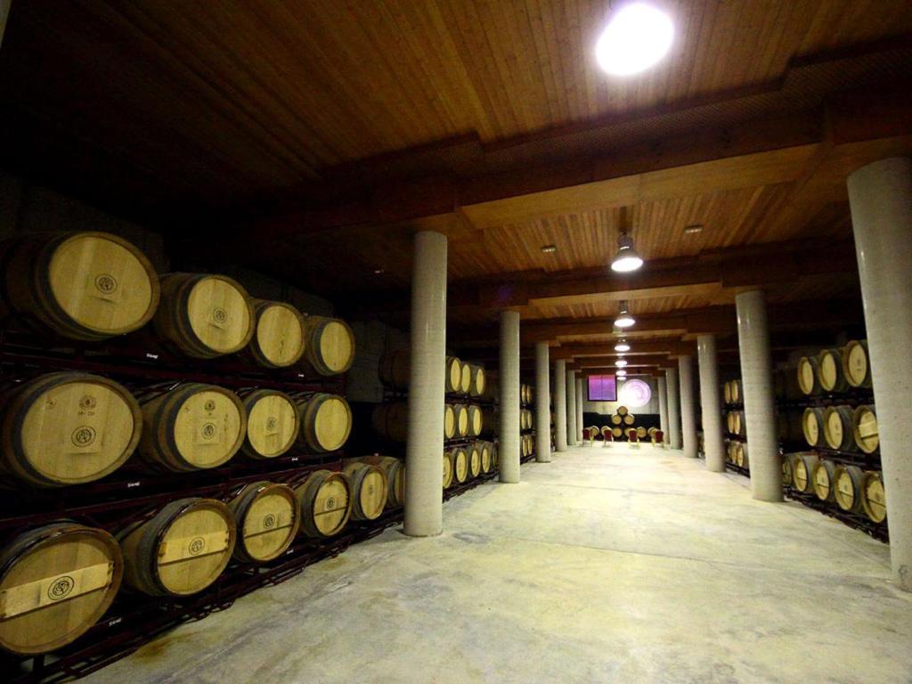 אלקזר דה סן חואן Hotel Chateau Vinasoro מראה חיצוני תמונה